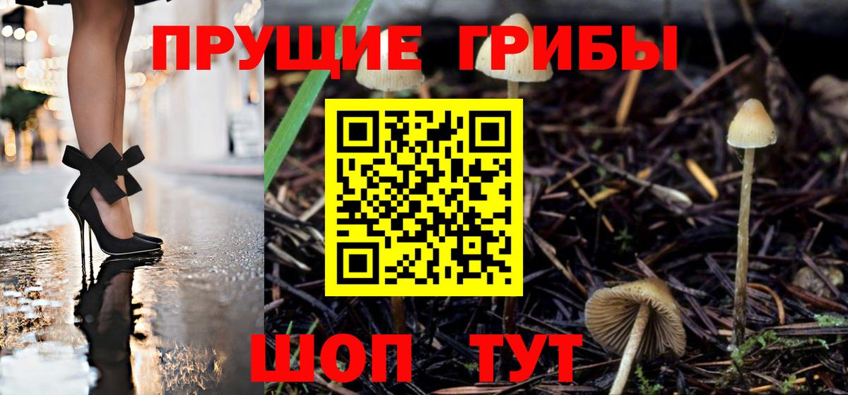 Галлюциногенные грибы мицелий Чайковский