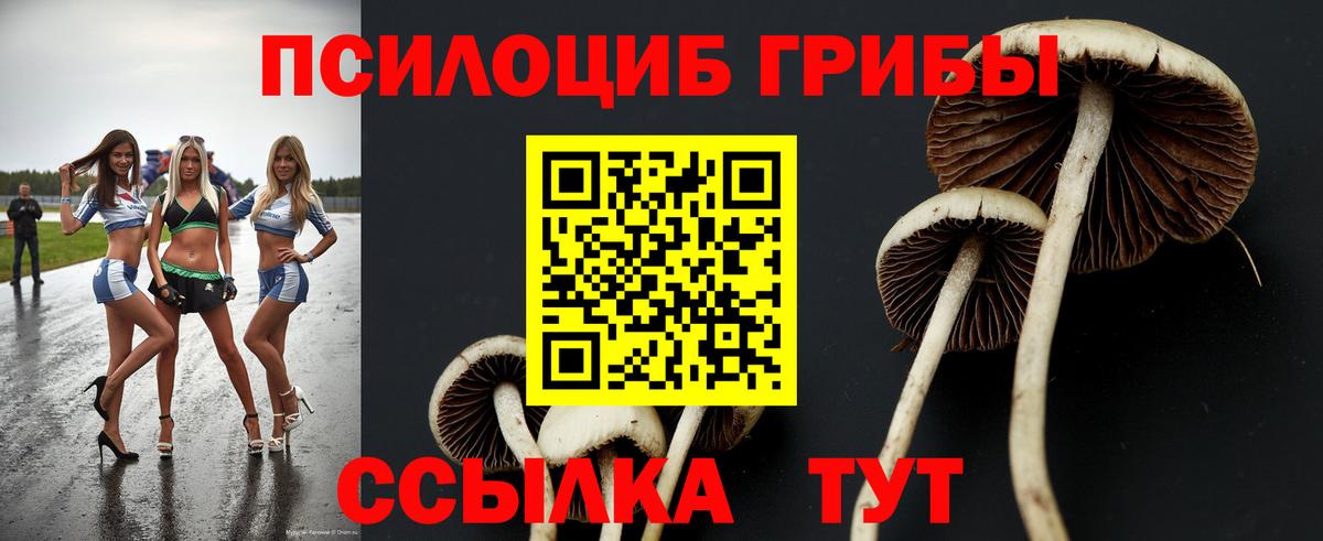Чайковский  Галлюциногенные грибы ЛСД  Вход с VPN 
